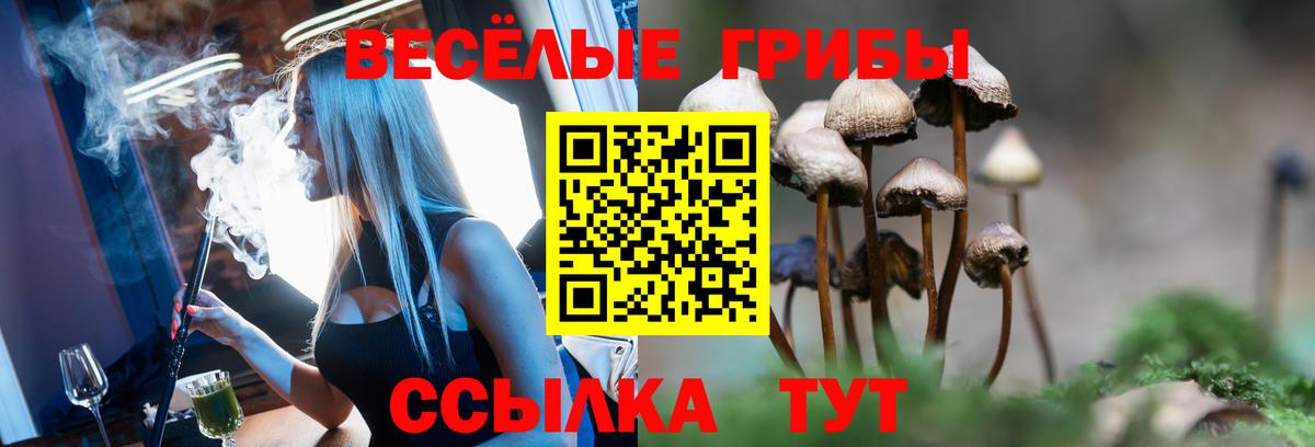Галлюциногенные грибы Cubensis  Вход с VPN  где можно купить   Новороссийск 